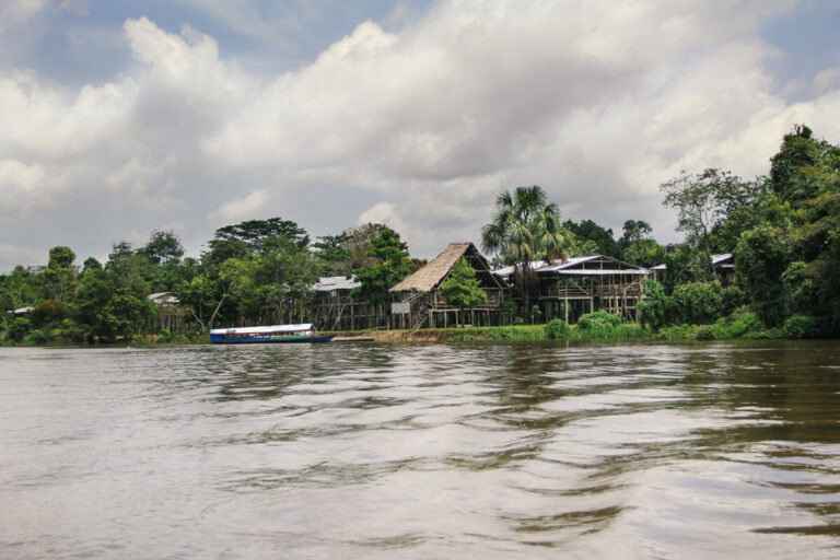 Read more about the article A guide for visiting a Peruvian Amazon