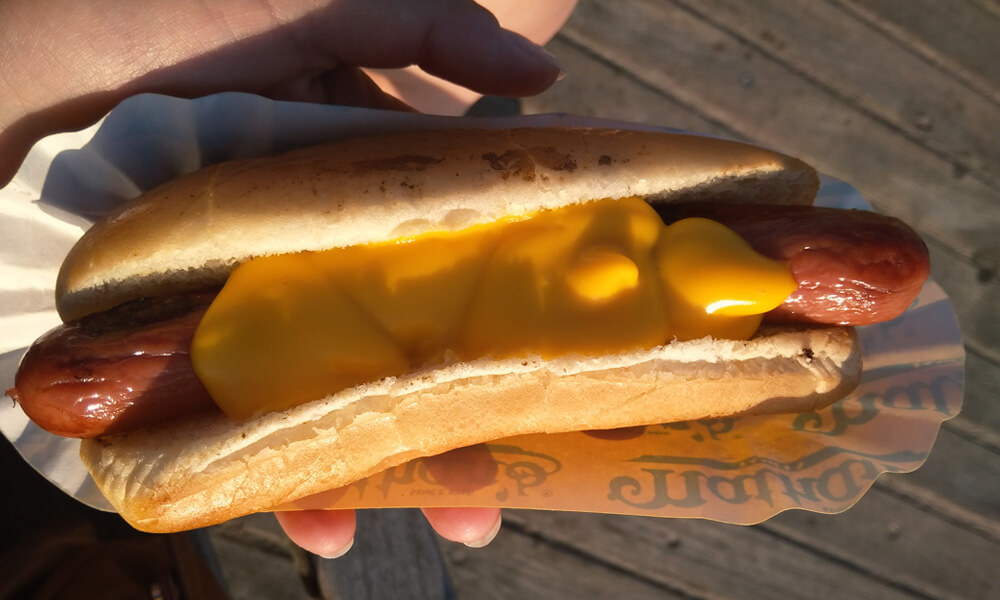 nathans-famous-hot-dog