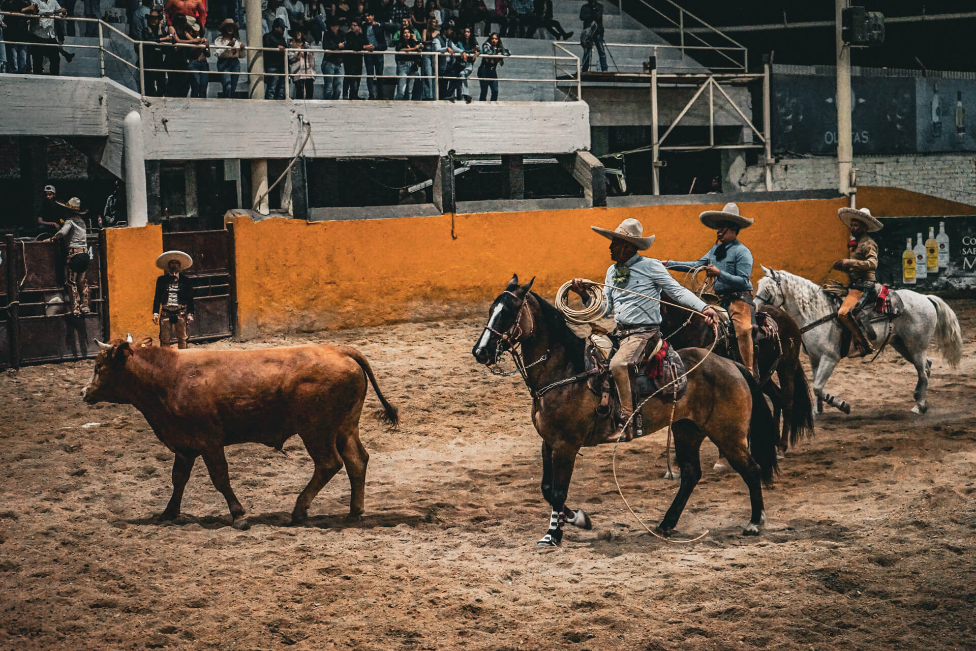 Read more about the article Championship in Charréria, Mexico’s national sport, in Guadalajara