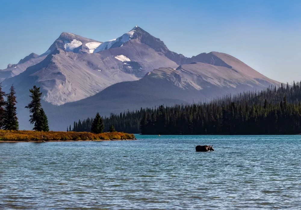 canada_rockies